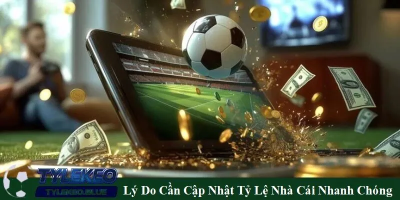 Lý do cần cập nhật thông tin nhanh chóng