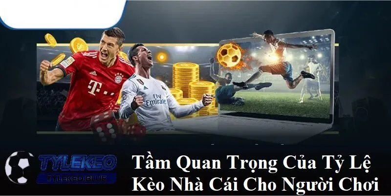 Tầm quan trọng của tỷ lệ nhà cái cho người chơi
